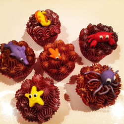 SPCA Cupcake Day 2015