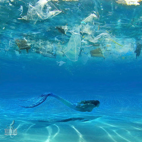 Making a Difference: Exploring Various Ways to Reduce Plastic Use
