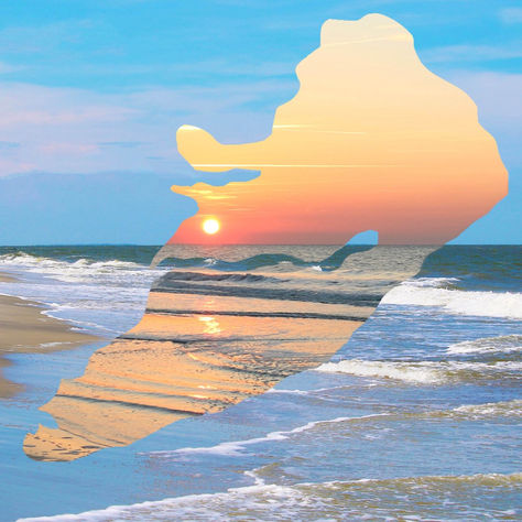 Family Fun in Paradise: Top Things to Do in Hilton Head Island