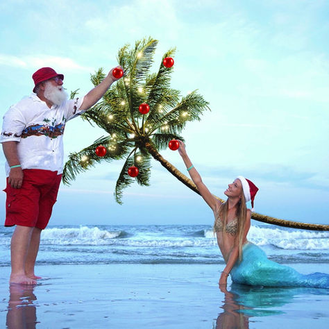 How to make your holiday season bright and ocean friendly
