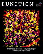 m_function_2_3cover.jpeg