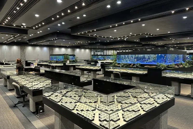 exp-3-showroom.webp