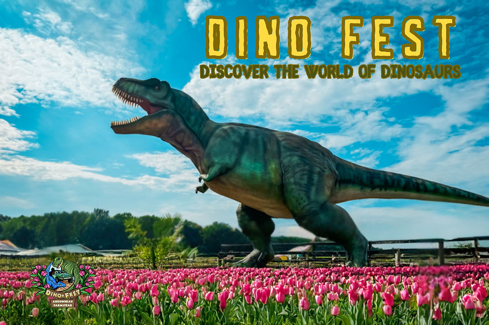 2025 DINO FEST Webpage 1 (3)_edited.jpg