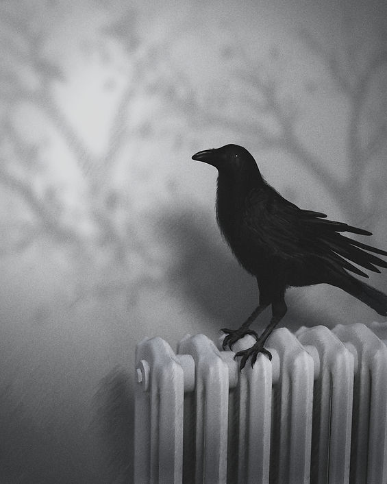 PRINT-radiator-crow-8x10-vignette_edited
