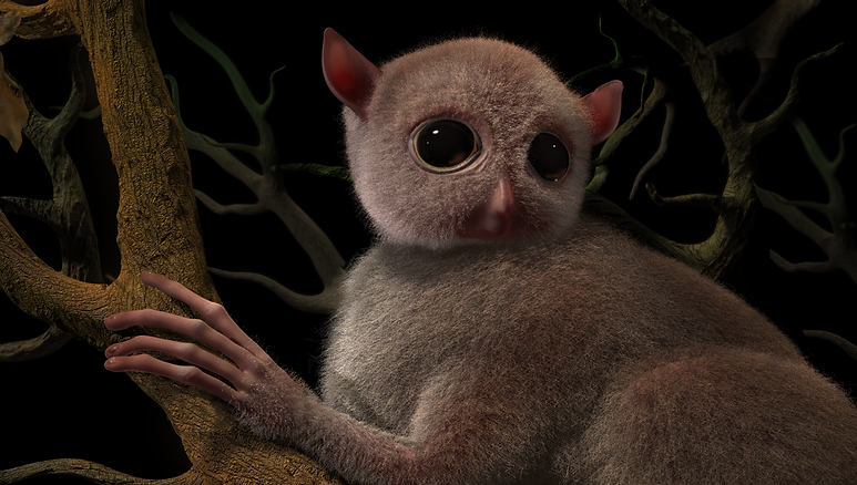 yellow-light-tarsier-highres_edit-2.png