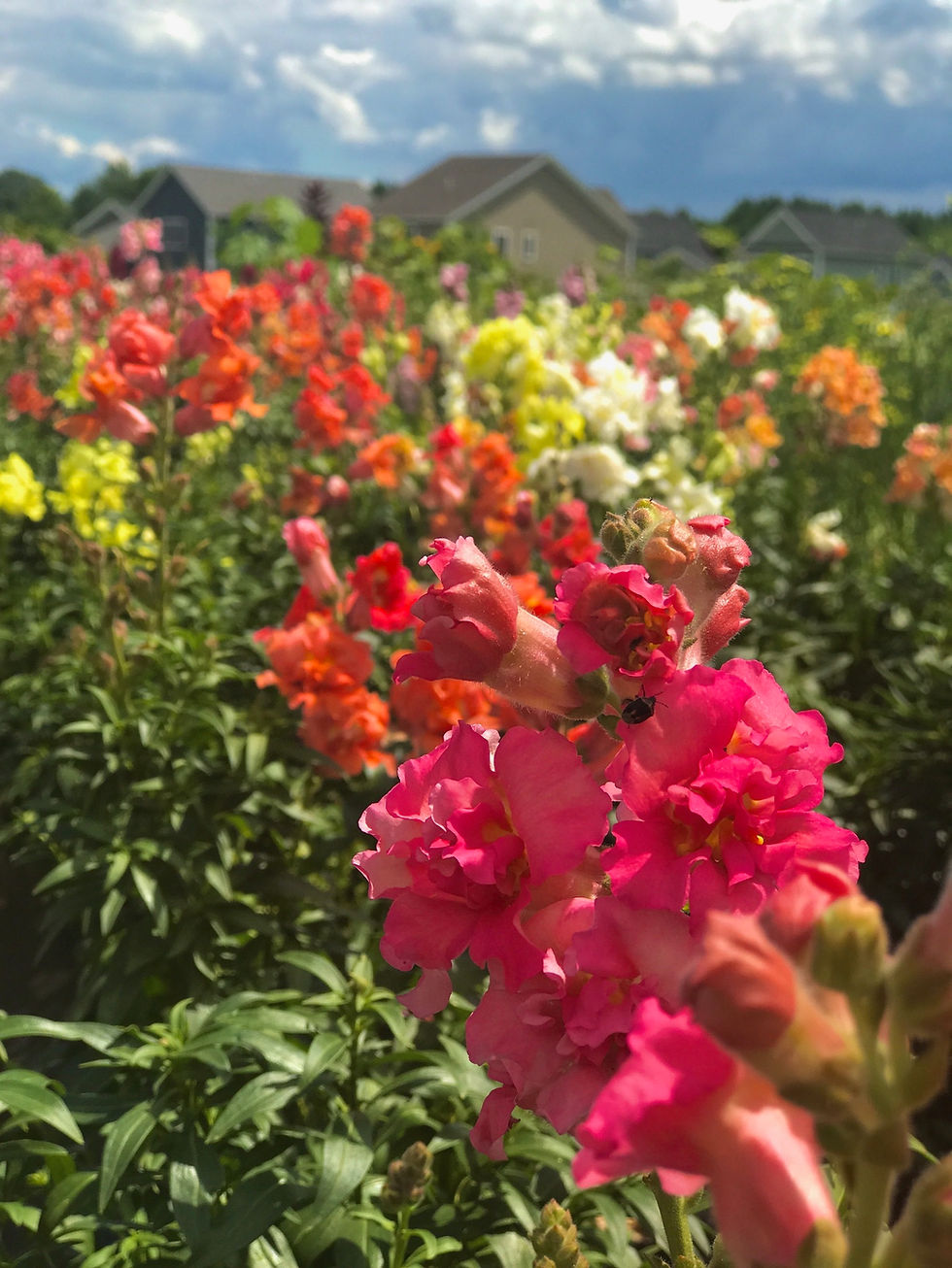 Image 2-21-25 at 20.47.jpg