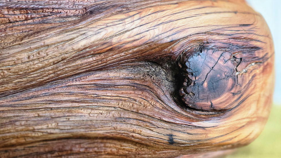 Thumbnail: detail of driftwood knot and swirling grain patterns on Mountain Drake sculpture