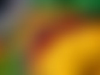 ハンガリー文化の紹介(後編)