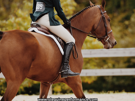 Spring into Success and change the behaviours such as "I can't" to " I can"