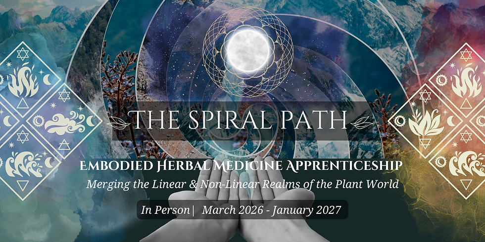 Copy of new spiral website banner 2.png