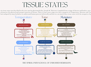 TISSUE STATES (Presentation).png