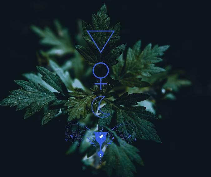 Untitled design-21.png