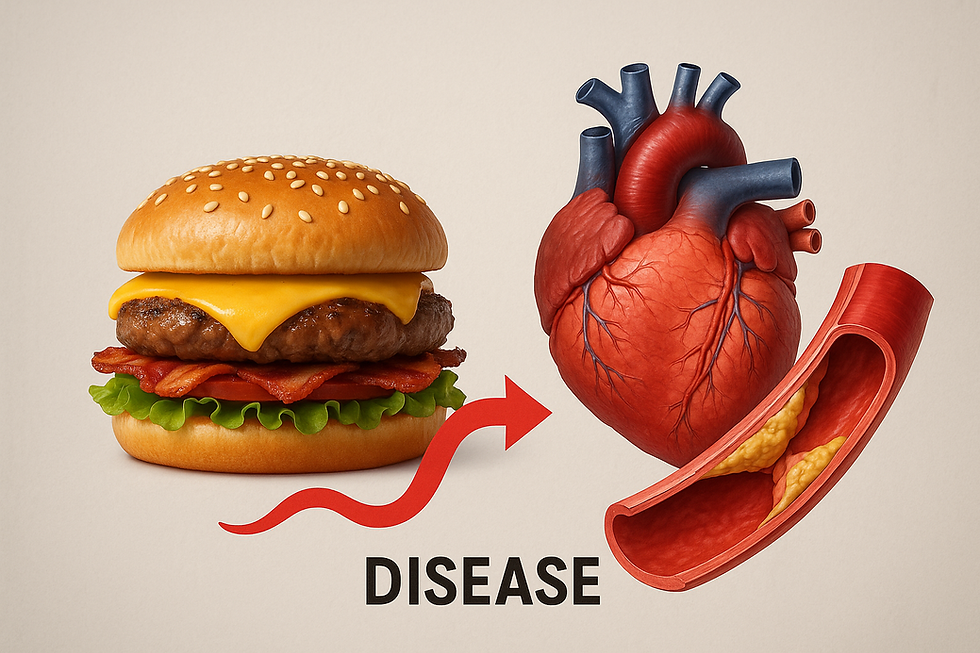 Processed Foods Can Be Harmful to The Heart
