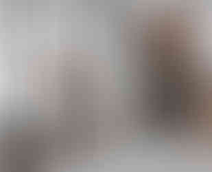 loft trennwand aus stahl und glas