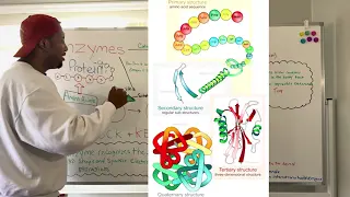 Diondre Mompoint teaching.webp