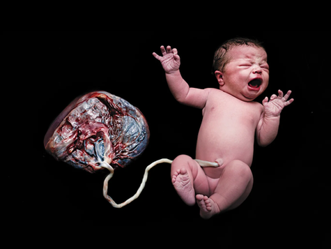 The Placenta Is The Most Forgotten Organ, Here's Why