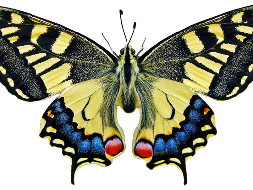 Studying Biology Changed My View Of Life