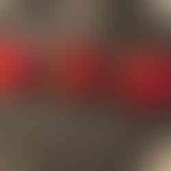 Strawberry and grape fruit kabob