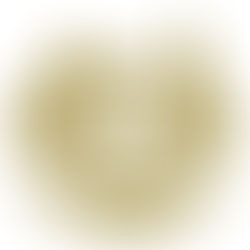 8 Juillet: Tournoi EM @ SJE