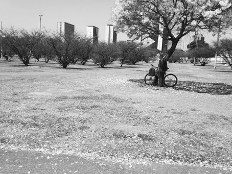 O Sol e a Criança
