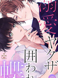 溺愛ヤクザの囲われ蝶