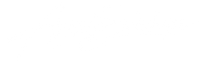Andreas-Schönberger-white-high-res.png