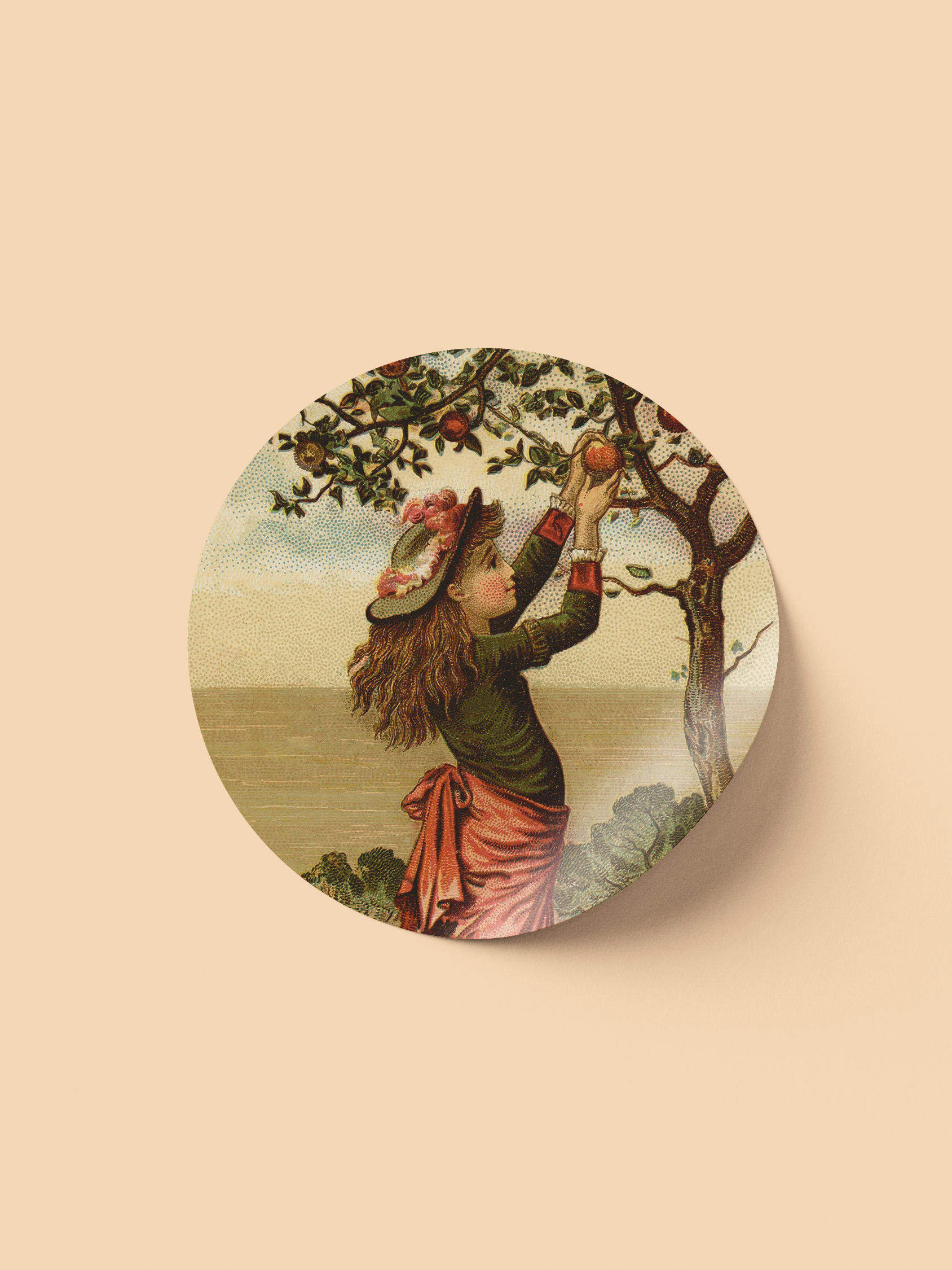 Adesivo Vintage Apple Picking