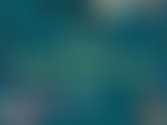 Book Week 2022 Dreaming with eyes open ...