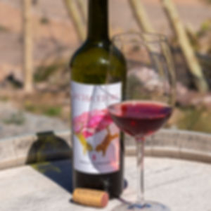 Sacha Tigre Criolla Quebradeña 2023