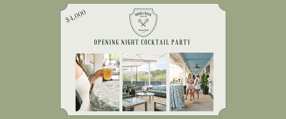Opening Night Cocktail Party Preview Page .png