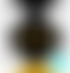 Kitap Özeti: Liderler En Son Yer - Simon Sinek 