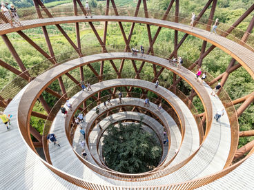 How can leading with a coaching approach help you and your team?