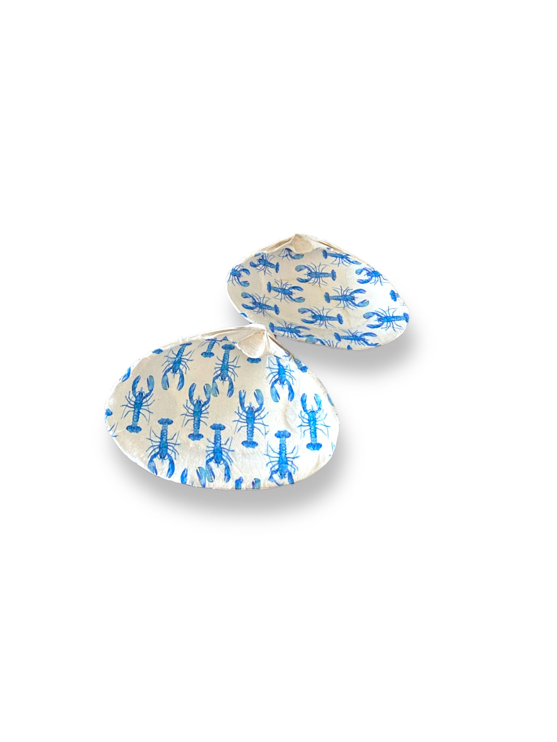 The happy clam - mini blue lobsters 