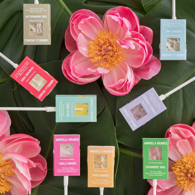 Shop, Support & Celebrate Female-Founded and Women-Owned Businesses This Holiday Season!