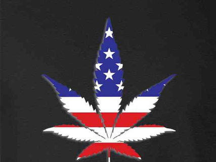 The Curious Case of America Versus Marijuana
