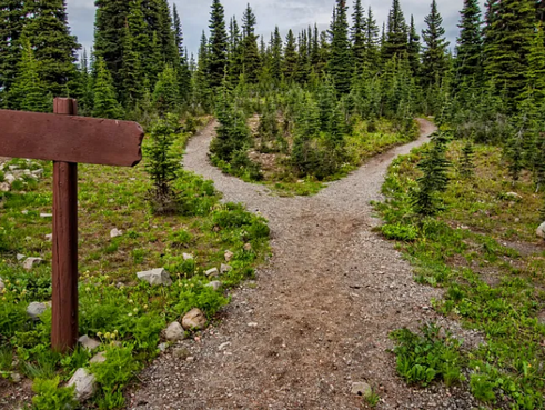 Staying In? Going Out? What Shall I Do?