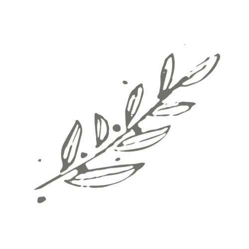 Blog treeex