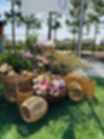 IMG_8867