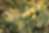iStock-1256932446.jpg