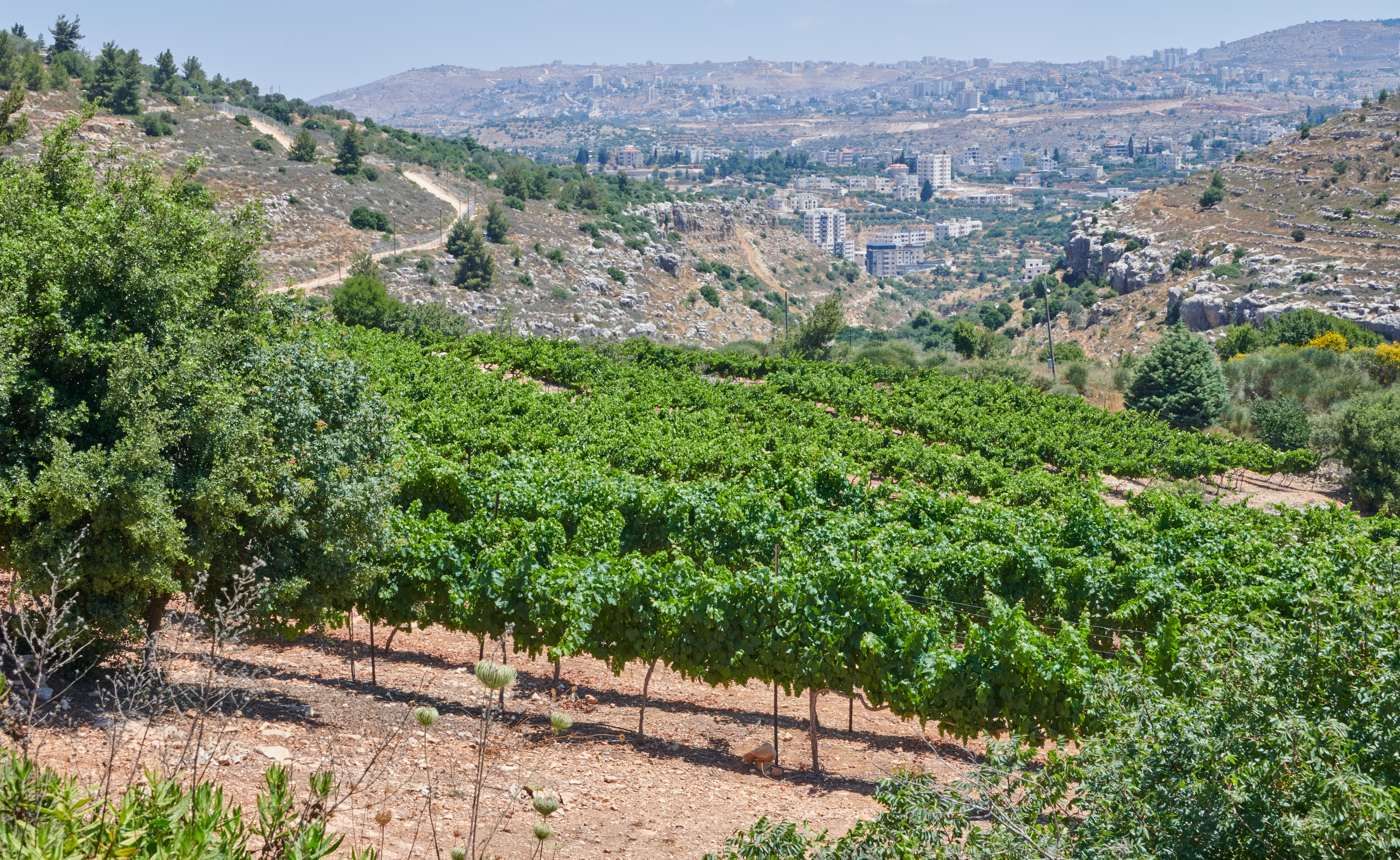 Beit El
