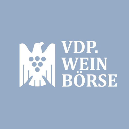 Galilee vineyard view.jpg