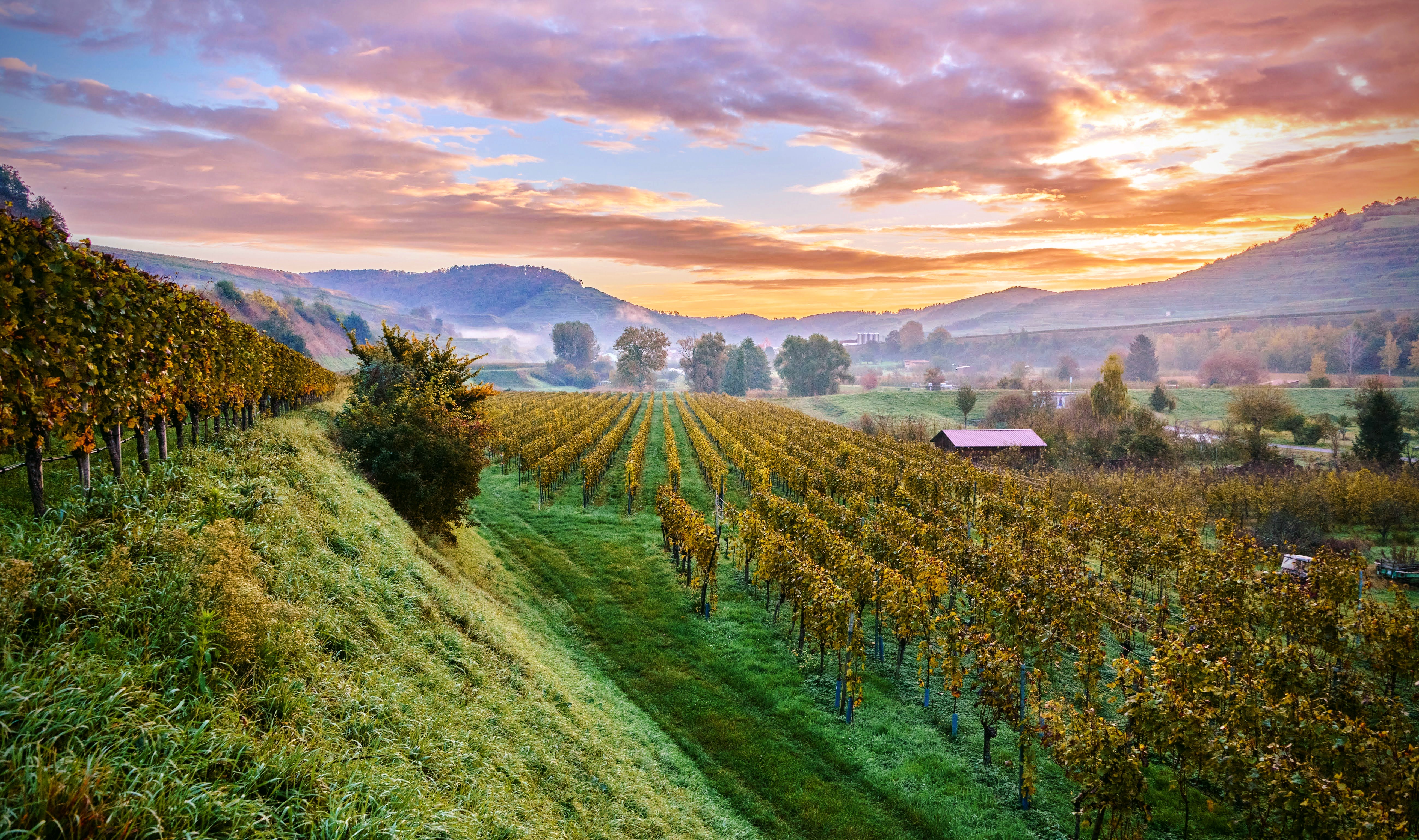 Kaiserstuhl