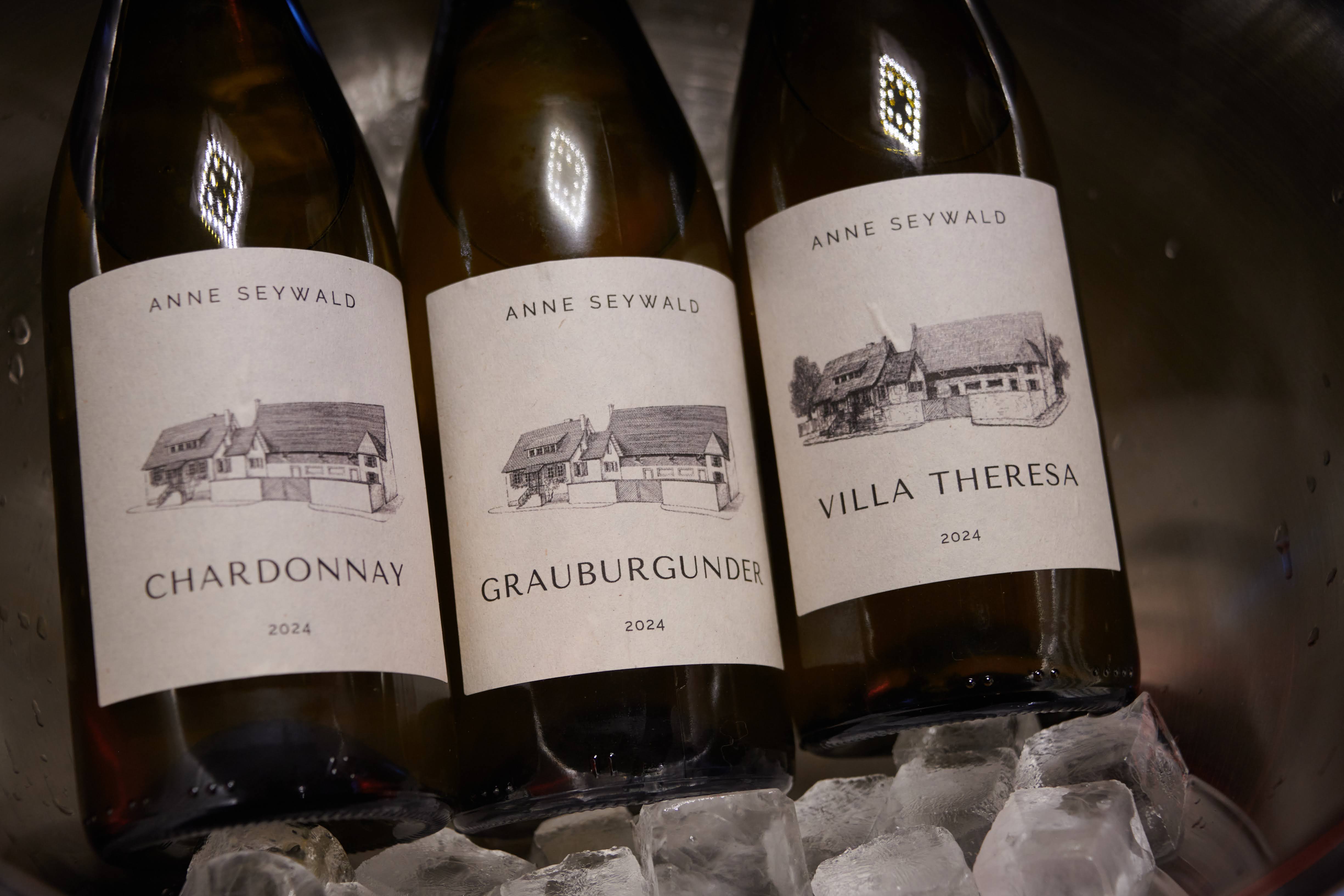 VG winery logo no bottle vineyard view.jpg