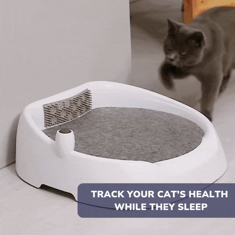 TRACKYOURCATSHEALTHWHILETHEYSLEEP-ezgif.com-optimize.gif