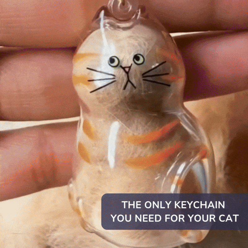 THEONLYKEYCHAINYOUNEEDFORYOURCAT-ezgif.com-optimize.gif
