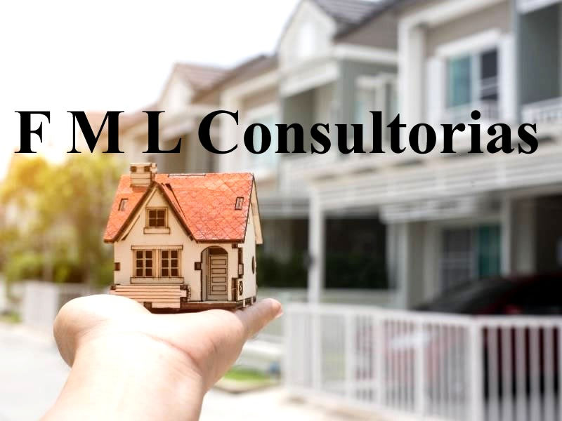 FML%20Consultorias_edited.jpg