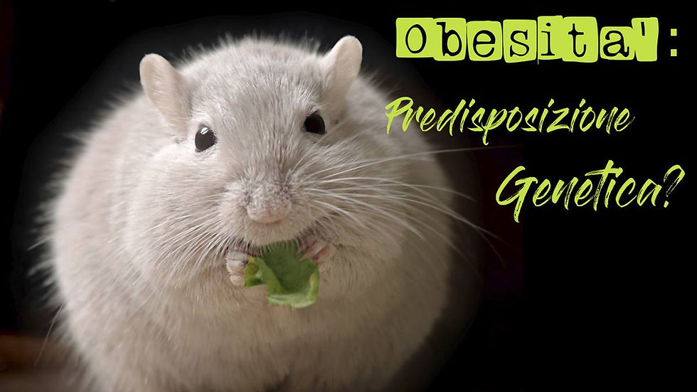 ree