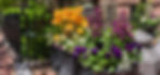 Garden in Boston.jpg