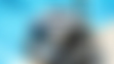 How Often Should You Clean Your Pool?