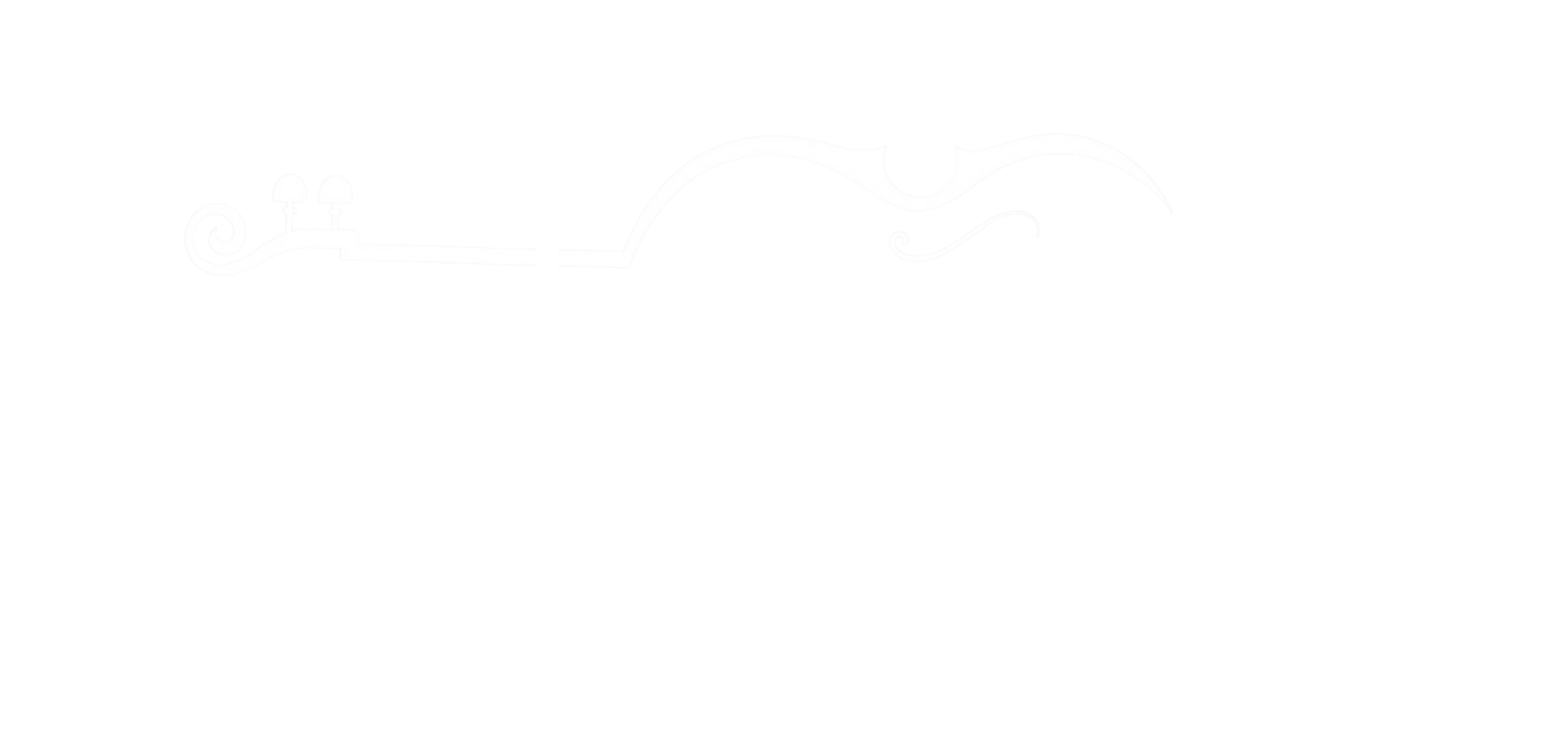 CSOLogoWhite.png
